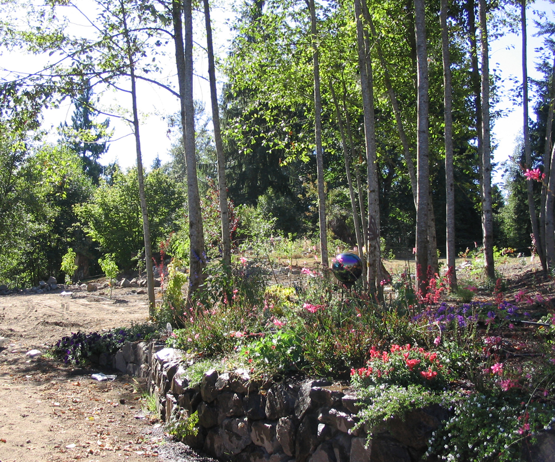 Rock garden afternoon light 2.jpg 1275.9K